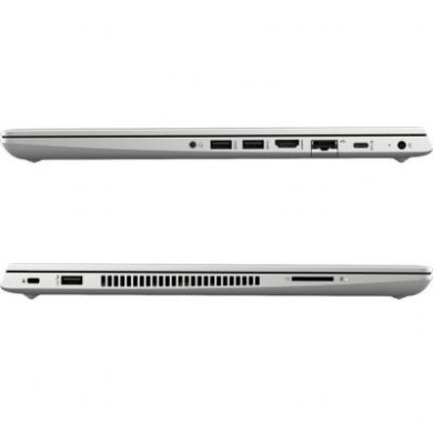 HP ProBook 455 G7 (7JN02AV_V10)