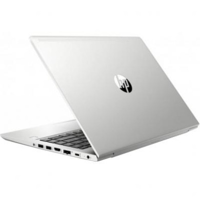 HP ProBook 445 G7 (7RX16AV_V5)