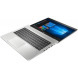 HP ProBook 445 G7 (7RX17AV_V4)