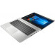HP ProBook 445 G7 (7RX17AV_V11)