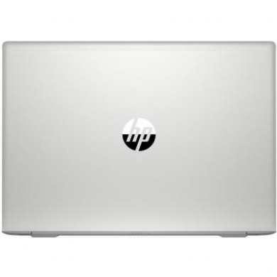 HP ProBook 450 G6 (4TC94AV_V14)