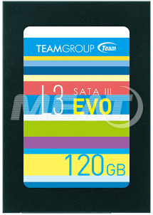 SSD 120GB Team L3 EVO (T253LE120GTC101)