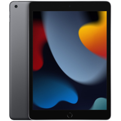 Apple A2604 iPad 10.2" Wi-Fi + LTE 64GB, Space Grey (MK473RK/A)