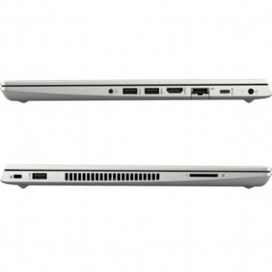 HP ProBook 445 G7 (7RX16AV_V4)