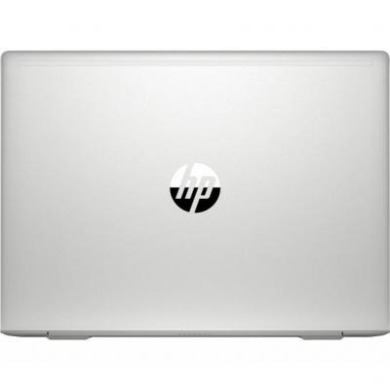 HP ProBook 445 G7 (7RX16AV_V4)