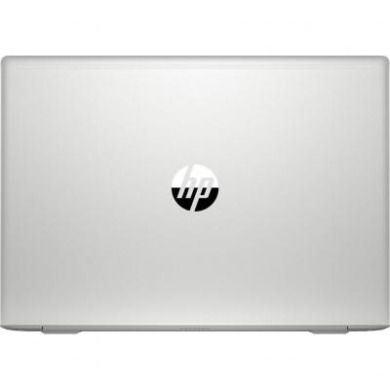 HP ProBook 455 G7 (7JN02AV_V17)